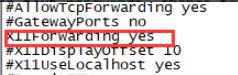 找到X11Forwarding 确保设置其值设置为NO