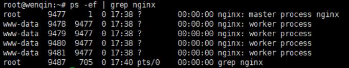 使用ps -ef | grep nginx命令