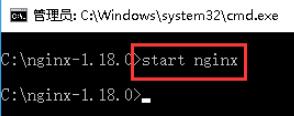 在命令行窗口中输入start nginx，按回车键
