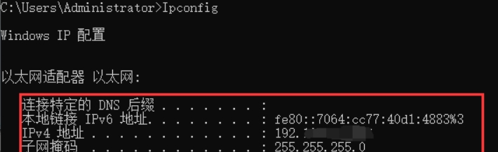 不带参数的ipconfig只显示最基本的信息