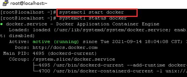 输入“systemctl status docker”启动Docker服务