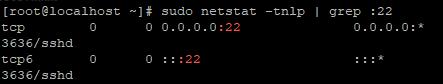 输入sudo netstat -tnlp | grep :22命令