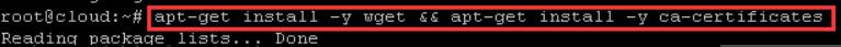 执行apt-get install -y wget && apt-get install -y ca-certificates命令