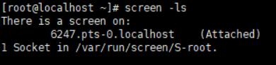 返回到screen  screen -ls