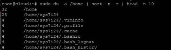 终端中运行sudo du -a /home | sort -n -r | head -n 10命令