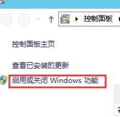 点击“启用或关闭 Windows 功能”调出“添加角色和功能向导”