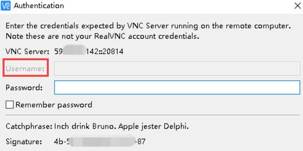 使用VNC连接Windows系统时出现如图所示无法输入用户名