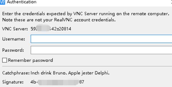 使用VNC连接时即可输入用户名